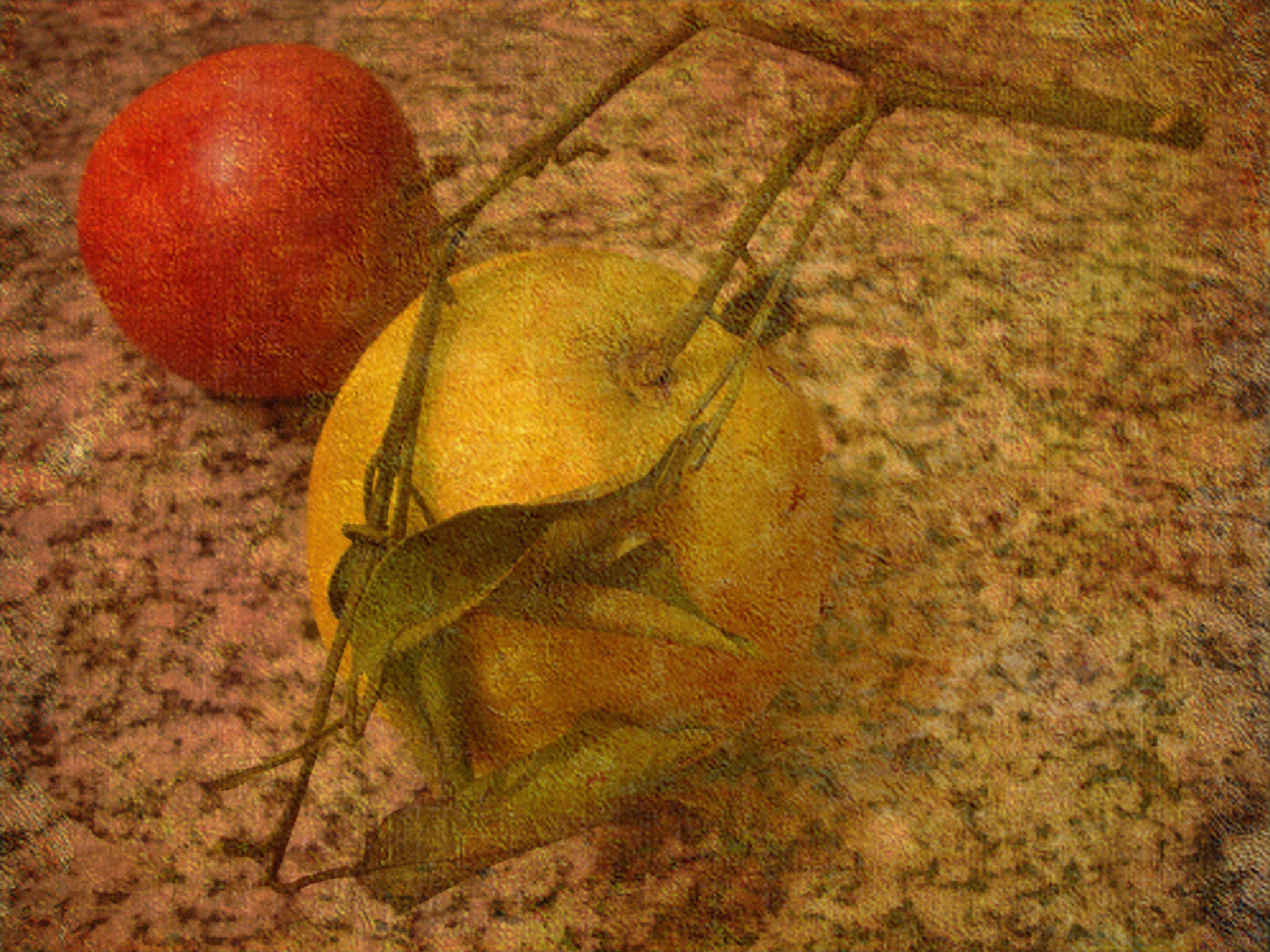 English 215: Rhetoric and Argument