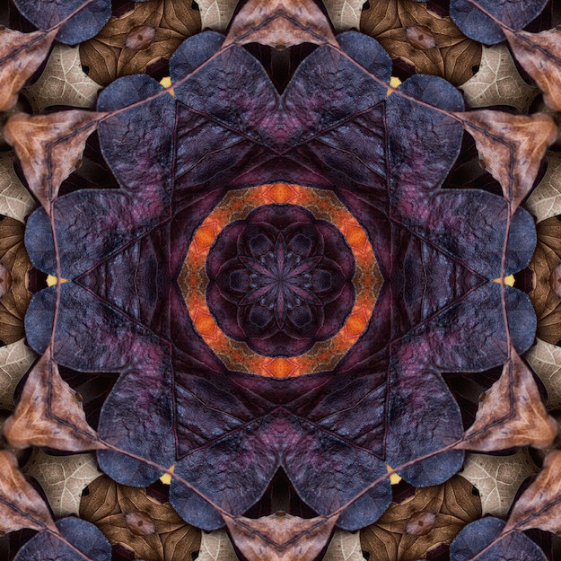 English 1302: Composition II